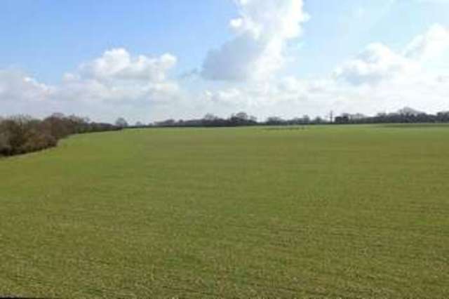  Image of 3 bedroom Detached house for sale in Loves Green Highwood Chelmsford CM1 at Loves Green  Chelmsford, CM1 3QG