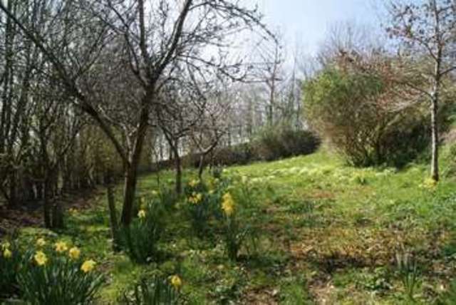  Image of 3 bedroom Detached house for sale in Thorverton Exeter EX5 at Thorverton Exeter, EX5 5PP