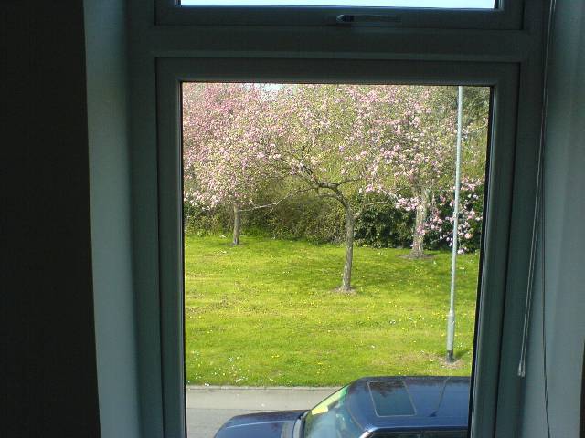  Image of 1 bedroom Flat to rent in Riverside Terrace Ely Cardiff CF5 at Cardiff South Glamorgan Ely, CF5 5AS