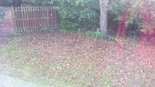 Image of 4 bedroom Detached house to rent in Sycamore Crescent Erdington Birmingham B24 at Birmingham, B24 8DF
