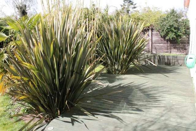  Image of 4 bedroom Semi-Detached house for sale in The Walks Loddon Norwich NR14 at Loddon Norwich Loddon, NR14 6LN