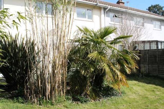  Image of 4 bedroom Semi-Detached house for sale in The Walks Loddon Norwich NR14 at Loddon Norwich Loddon, NR14 6LN