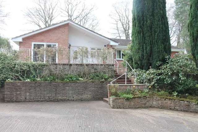  Image of 4 bedroom Detached house for sale in Birch Grove West Hill Ottery St. Mary EX11 at West Hill Ottery St Mary Devon, EX11 1XP