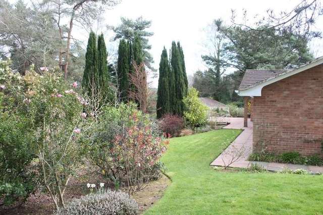  Image of 4 bedroom Detached house for sale in Birch Grove West Hill Ottery St. Mary EX11 at West Hill Ottery St Mary Devon, EX11 1XP