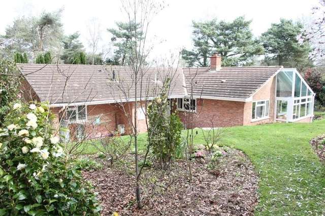  Image of 4 bedroom Detached house for sale in Birch Grove West Hill Ottery St. Mary EX11 at West Hill Ottery St Mary Devon, EX11 1XP