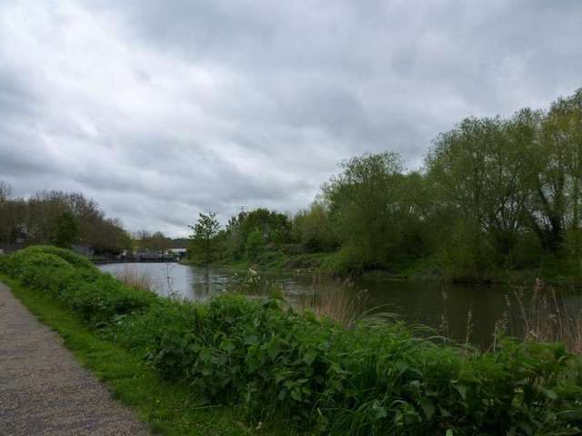  Image of 1 bedroom Flat to rent in Yeoman Close Ipswich IP1 at Ipswich, IP1 2QE