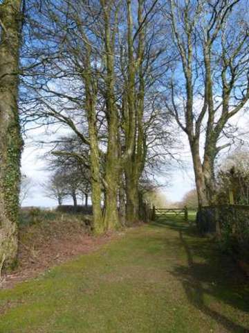  Image of 4 bedroom Detached house for sale in Princes Gate Narberth SA67 at Narberth Pembrokeshire Princes Gate, SA67 8TG