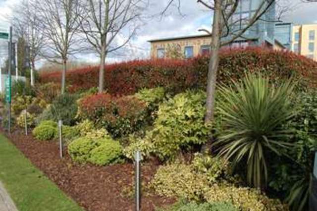  Image of 2 bedroom Flat to rent in Whale Avenue Reading RG2 at Reading, RG2 0GY