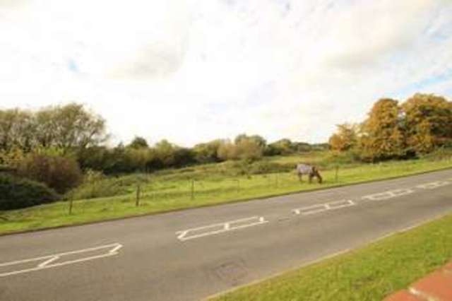  Image of 4 bedroom Detached house to rent in Thacker Way Norwich NR5 at Thacker Way  Norwich, NR5 9PS