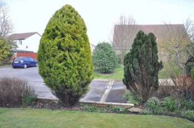  Image of 4 bedroom Detached house for sale in The Copse Frome BA11 at The Copse  Frome, BA11 2TE