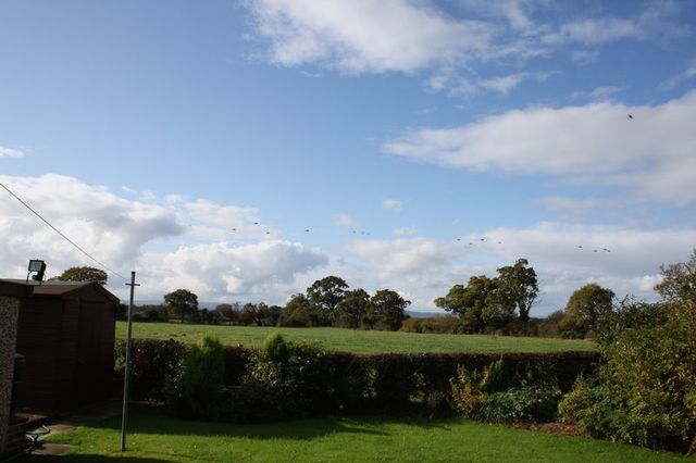  Image of 3 bedroom Semi-Detached house for sale in Beachin Lane Coddington Chester CH3 at Beachin Lane Coddington Chester, CH3 6LZ