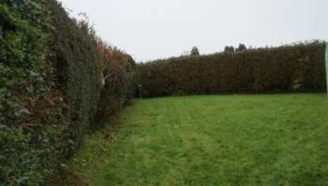  Image of 3 bedroom Detached house for sale in Collaton Road Torquay TQ2 at Collaton Road  Torquay, TQ2 7JB