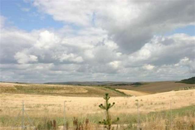  Image of 3 bedroom Semi-Detached house to rent in Sarnia Close Peacehaven BN10 at Peacehaven, BN10 8FE
