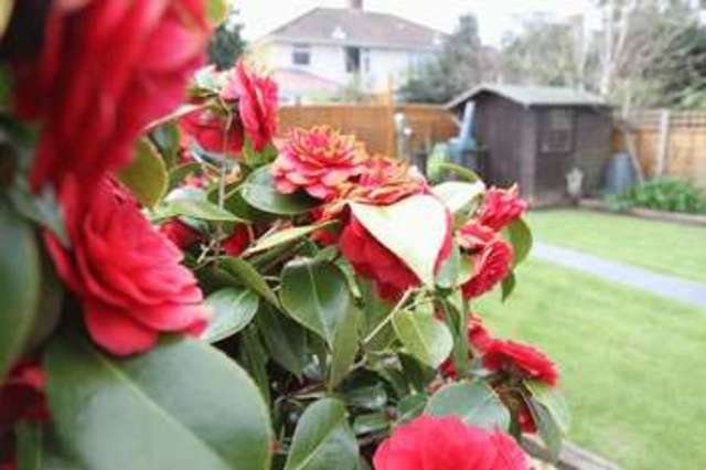  Image of 3 bedroom Semi-Detached house for sale in West Croft Clevedon BS21 at West Croft  Clevedon, BS21 7TZ