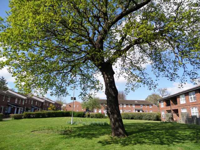  Image of 1 bedroom Flat to rent in Garden Close London SE12 at Garden Close Grove Park London, SE12 9TG