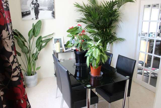  Image of 3 bedroom Semi-Detached house to rent in Severn Place Plymouth PL3 at Severn Place Efford Plymouth, PL3 6JH
