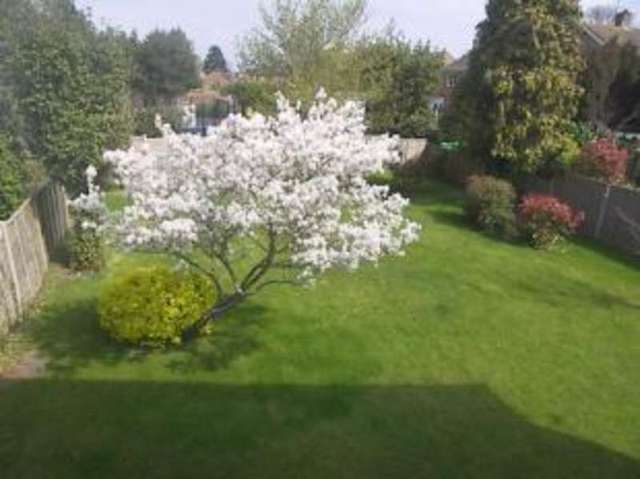  Image of 4 bedroom Detached house for sale in Third Avenue Havant PO9 at Havant Hampshire Denvilles, PO9 2QS