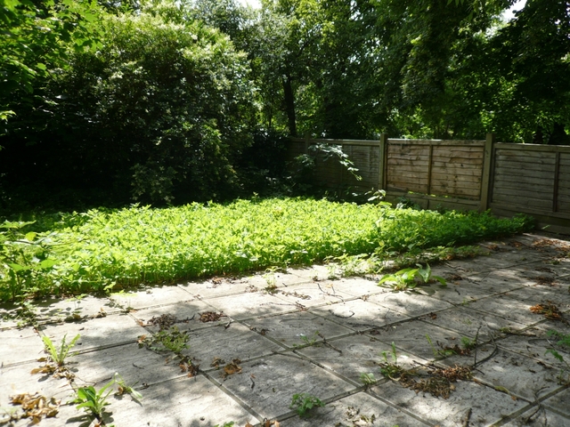  Image of 1 bedroom Flat to rent in Hillmarton Road London N7 at Hillmarton Road  Holloway, N7 9JF