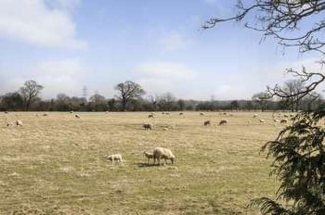  Image of 4 bedroom Detached house for sale in Halterworth Lane Romsey SO51 at Halterworth Lane  Romsey, SO51 9AD