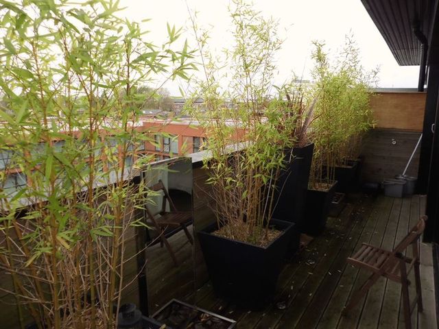  Image of 2 bedroom Flat to rent in Carver Street Hockley Birmingham B1 at Carver Street  Birmingham, B1 3AQ