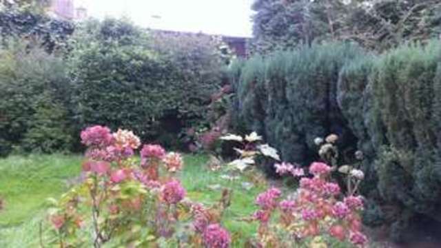 Image of 1 bedroom Terraced house to rent in Windsor Terrace Hagley Road Edgbaston Birmingham B16 at Windsor Terrace, Hagley Road  Birmingham, B16 8UH