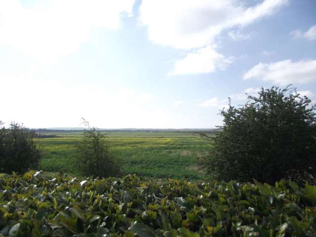  Image of 1 bedroom Semi-Detached house to rent in Lower Burnham Road Latchingdon Chelmsford CM3 at Lower Burnham Road Latchingdon Chelmsford, CM3 6HQ