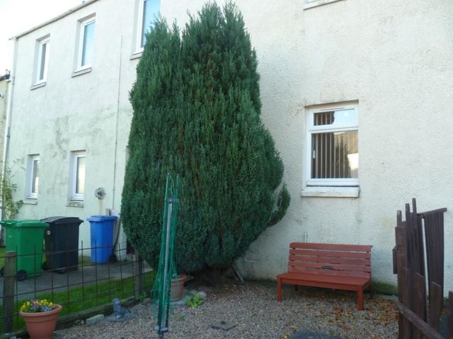  Image of 2 bedroom Flat to rent in Maryhall Street Kirkcaldy KY1 at Kirkcaldy Fife Fife, KY1 1BH