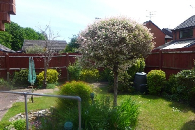  Image of 2 bedroom Bungalow to rent in Great Well Drive Romsey SO51 at Romsey Hampshire Not specified, SO51 7QN