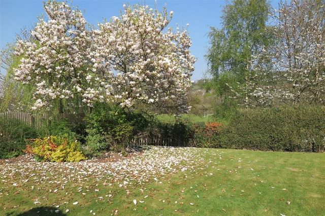  Image of 3 bedroom Bungalow for sale in Northway Sedgley Dudley DY3 at Northway Sedgley DUDLEY, DY3 3PS