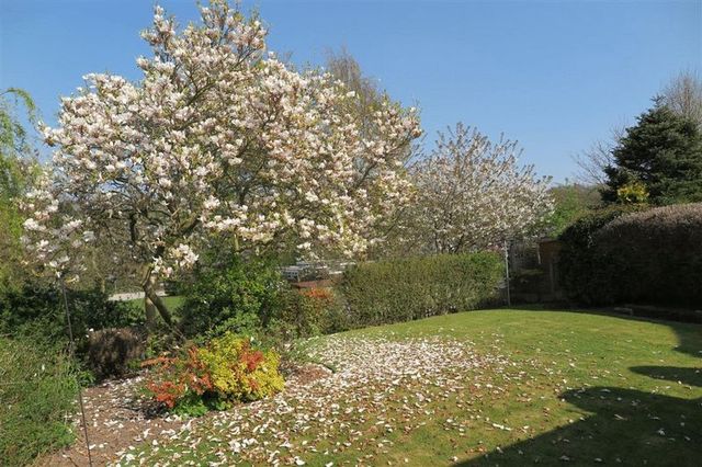  Image of 3 bedroom Bungalow for sale in Northway Sedgley Dudley DY3 at Northway Sedgley DUDLEY, DY3 3PS
