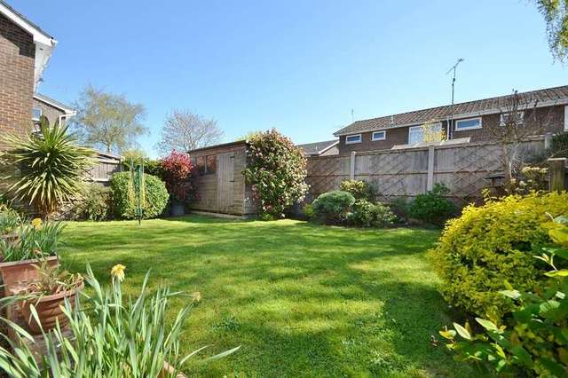  Image of 4 bedroom Semi-Detached house for sale in Alder Drive Alderholt Fordingbridge SP6 at Alderholt Fordingbridge, SP6 3EP