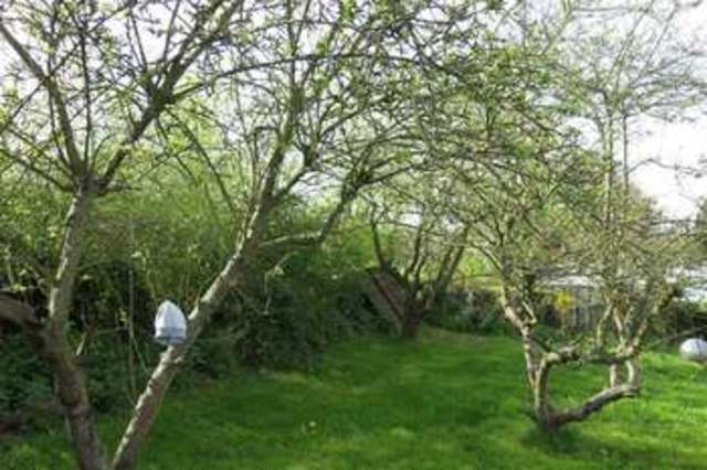  Image of 3 bedroom Property to rent in Clay Green Alfrick Worcester WR6 at Clay Green Worcestershire Worcestershire, WR6 5HJ