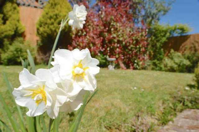 Image of 3 bedroom Detached house for sale in Cuckmere Drive Stone Cross Pevensey BN24 at Cuckmere Drive Stone Cross Stone Cross, BN24 5PT