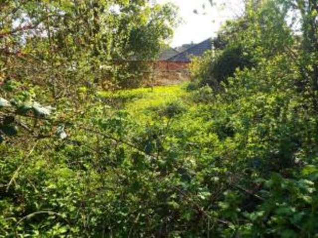  Image of 2 bedroom Detached house for sale in Churchgate Street Southery Downham Market PE38 at Southery Downham Market Southery, PE38 0ND