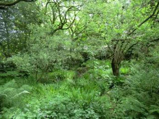  Image of 5 bedroom Detached house for sale in Clearbrook Yelverton PL20 at Clearbrook Yelverton, PL20 6JD