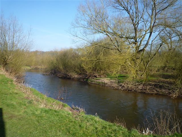  Image of Detached house for sale in Somerford Somerford Congleton CW12 at Daneside Country Park Somerford Congleton, CW12 4SL