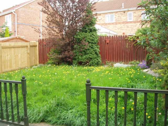  Image of 3 bedroom Semi-Detached house to rent in Harbour Way Hull HU9 at Victoria Dock  Hull, HU9 1PL