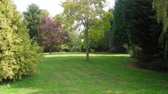  Image of 4 bedroom Detached house to rent in Hasse Road Soham Ely CB7 at Soham, CB7 5UW