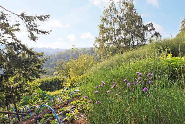  Image of 3 bedroom Detached house for sale in Mapstone Hill Lustleigh Newton Abbot TQ13 at Devon Devon Lustleigh, TQ13 9SE
