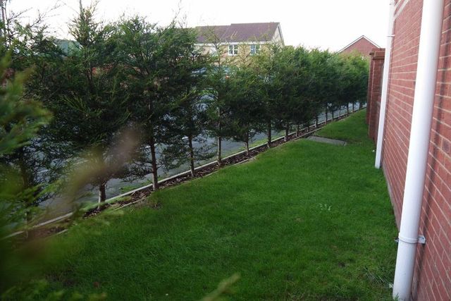  Image of 3 bedroom Detached house for sale in Morley Croft Farington Moss Leyland PR26 at Morley Croft Farington Moss Midge Hall, PR26 6QS