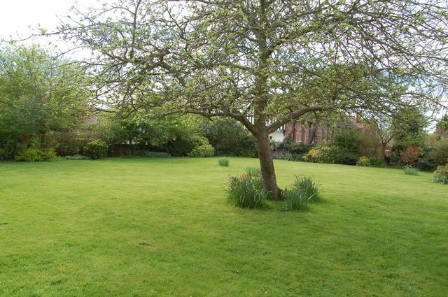  Image of 4 bedroom Detached house for sale in Conways Road Orsett Grays RM16 at Rectory Road  Orsett, RM16 3EL