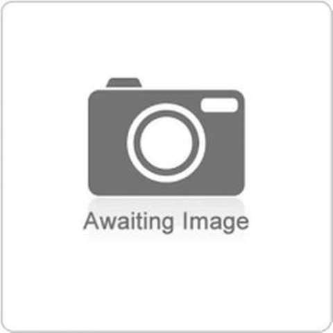  Image of 3 bedroom Terraced house to rent in Perth Road London E13 at Perth Road  London, E13 9DS