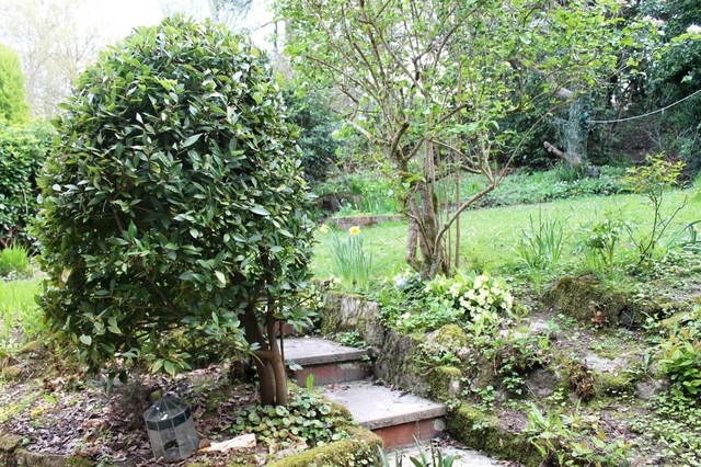  Image of 4 bedroom Detached house to rent in Stonepark Drive Forest Row RH18 at Forest Row, RH18 5DG