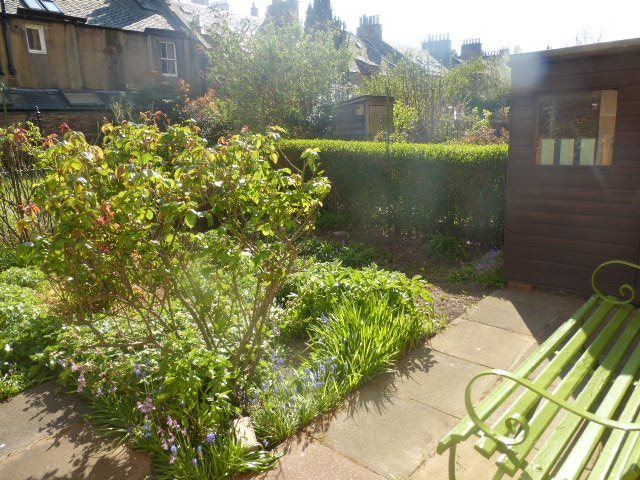  Image of 2 bedroom Flat to rent in Thirlestane Road Edinburgh EH9 at Marchmont Edinburgh Edinburgh, EH9 1AL
