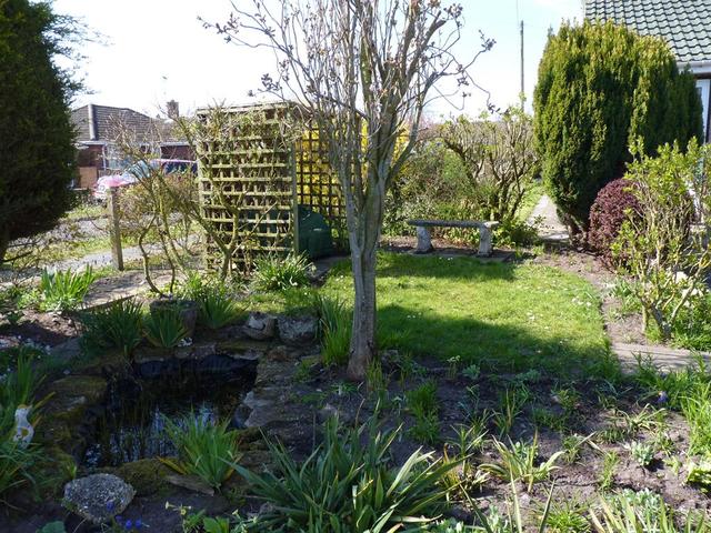  Image of 3 bedroom Detached house for sale in Wyndfields Necton Swaffham PE37 at Necton, Swaffham Norfolk Necton, PE37 8HD