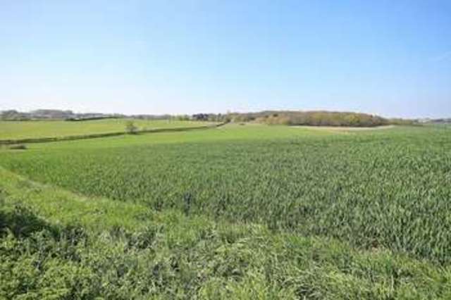  Image of 3 bedroom Detached house for sale in Plummers Lane Haynes Bedford MK45 at Plummers Lane  Haynes, MK45 3PL