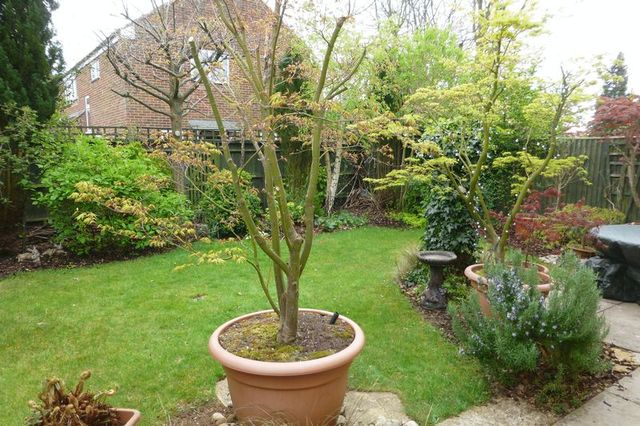  Image of 2 bedroom Semi-Detached house for sale in Truemper Grove Caversfield Bicester OX27 at Truemper Grove Caversfield Bicester, OX27 8FD