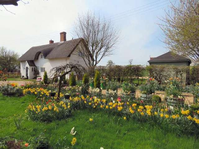 Image of 4 bedroom Cottage for sale in Ampthill Road Lidlington Bedford MK43 at Lidlington Bedford Bedfordshire, MK43 0QX