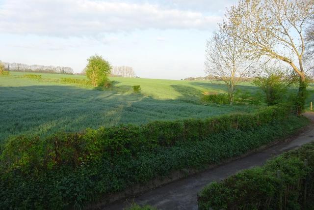  Image of 4 bedroom Detached house for sale in Nettlepole Lane Little Chart Ashford TN27 at Little Chart, TN27 0QJ