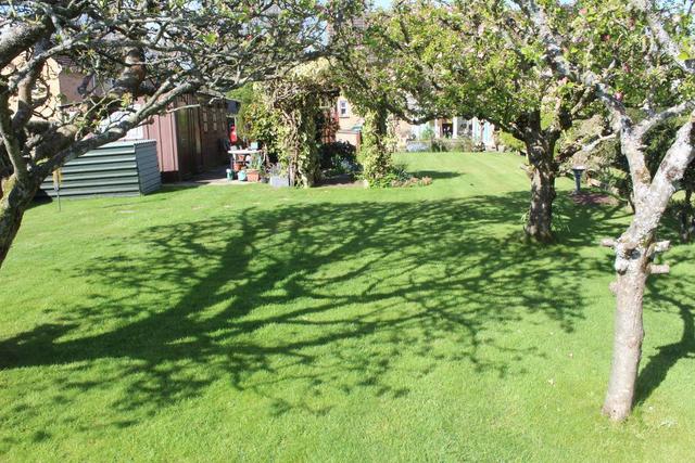  Image of 3 bedroom Semi-Detached house for sale in Woodsford Woodsford Dorchester DT2 at Woodsford  Dorchester, DT2 8AU